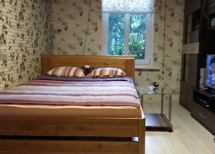 Small And Cozy * Riga