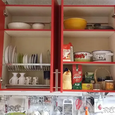 Small And Cozy 리가