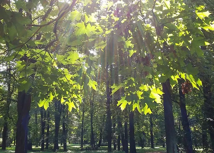 Apartment Small And Cozy *