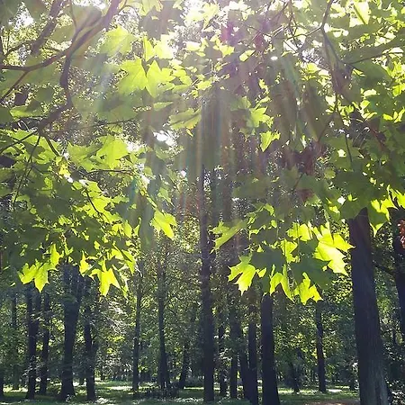 Апартаменти Small And Cozy *